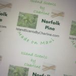 Norfolk Pine Scented Candles