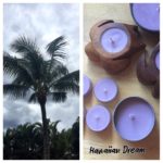 Hawaiian Dream Scented Candles